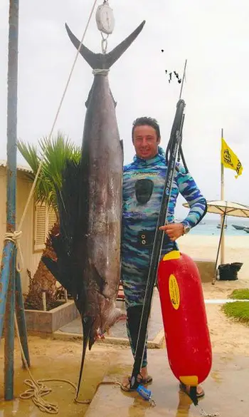 Sailfish, Atlantic