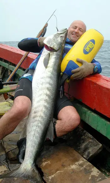 Barracuda, African